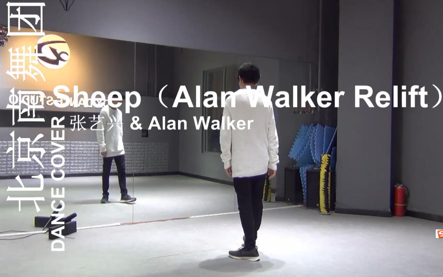 [图]【南舞团】Sheep（Alan Walker Relift） 张艺兴 Alan Walker 中文舞蹈分解教学 练习室（上）