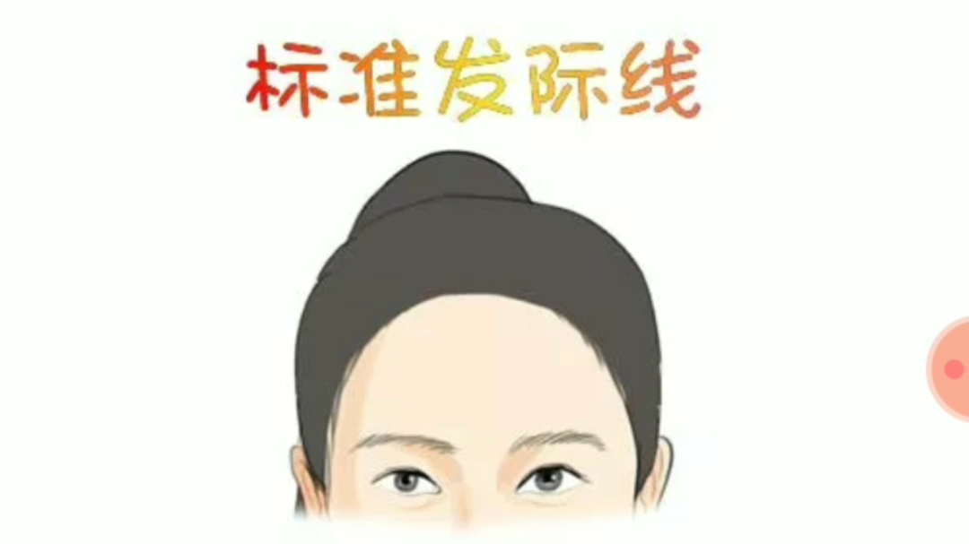 活动作品从发际线了解人的命运和财富