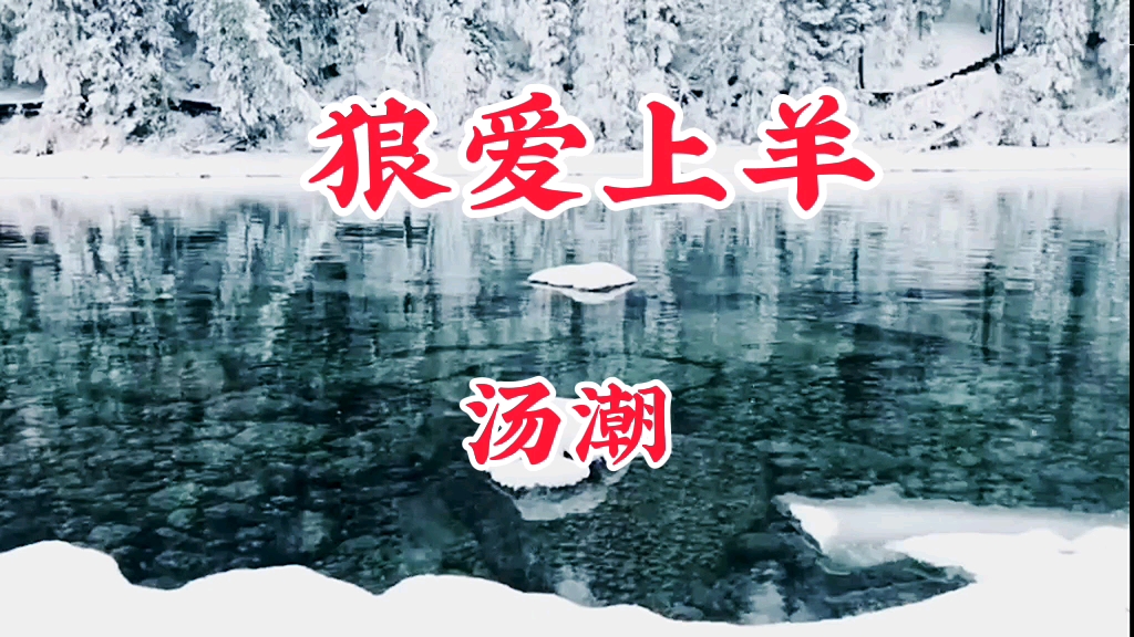狼爱上羊歌曲原唱(狼爱上羊歌曲原唱dj)