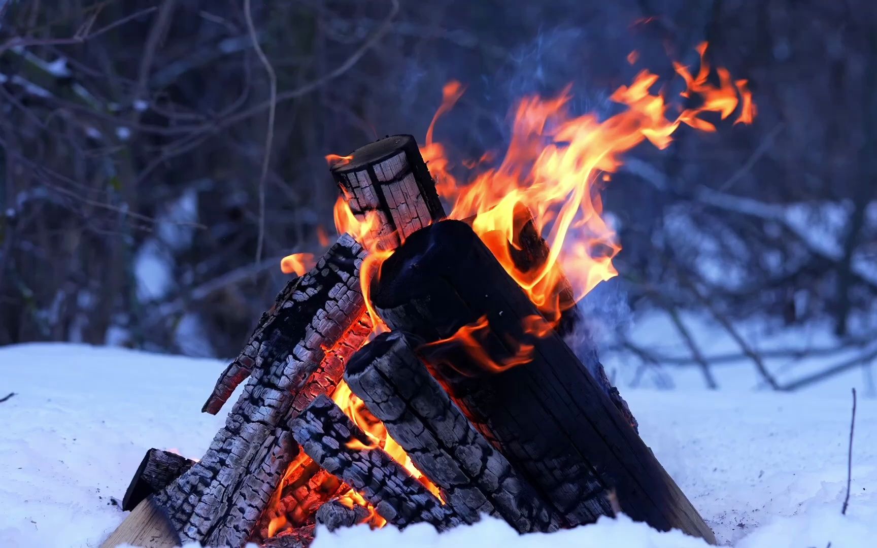 3小时 冬日森林中的温暖的篝火声