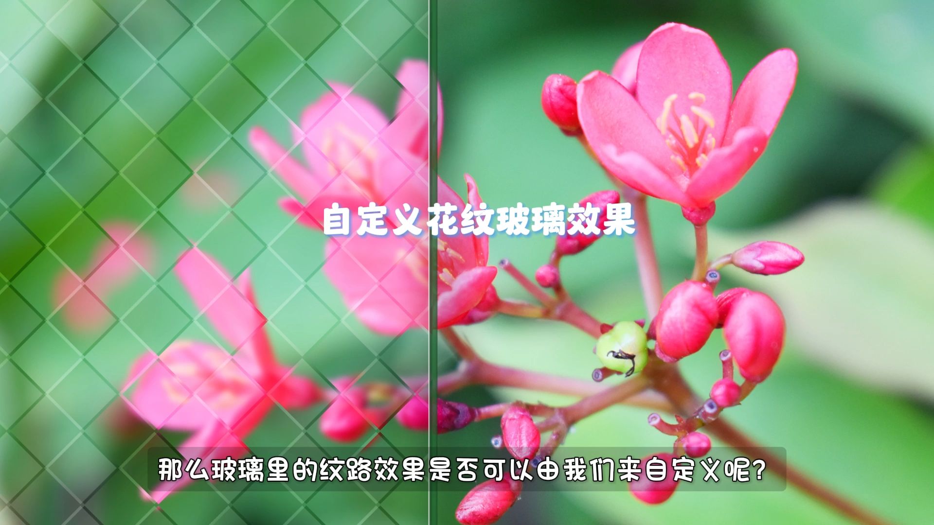 花纹玻璃效果哔哩哔哩bilibili