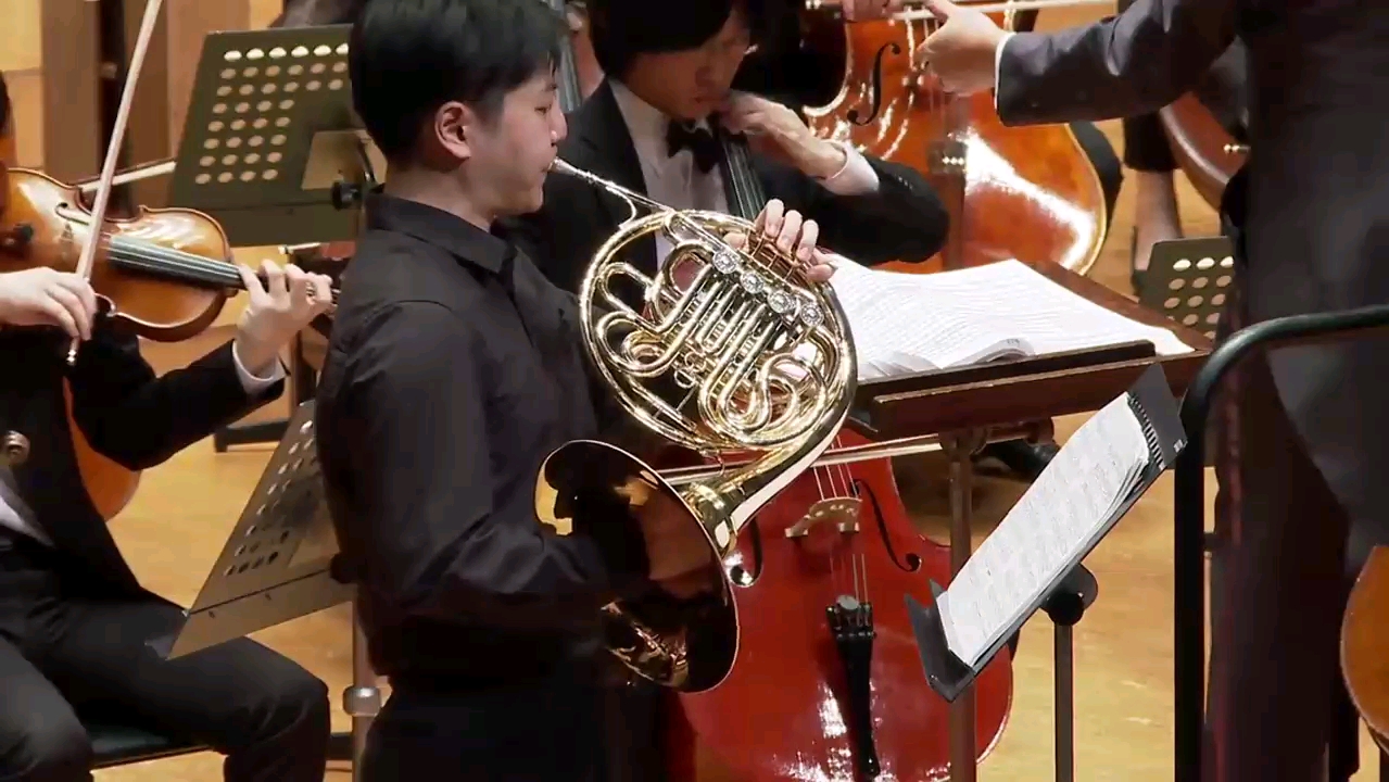 音乐小课堂开课了:18中国乐器又来砸场子了吴蛮老师一首 金蛇狂舞听呆