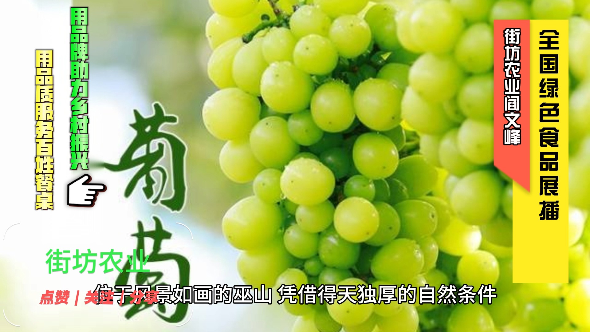 巫山县予之创生态观光农业有限公司的阳光玫瑰葡萄是绿色食品