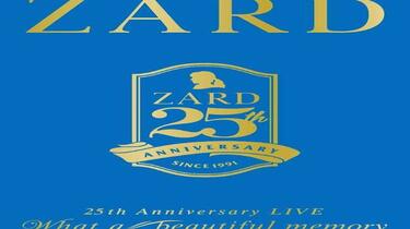 ZARD】What a beautiful memory ~25th Anniversary2016（剪辑版）_哔哩