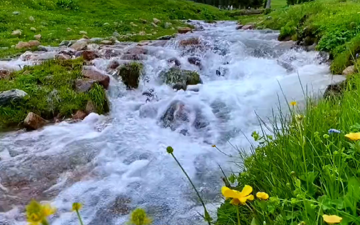 心似白云常自在,意如流水任东西.#大山深处自然美 #治愈系风景哔哩哔哩bilibili