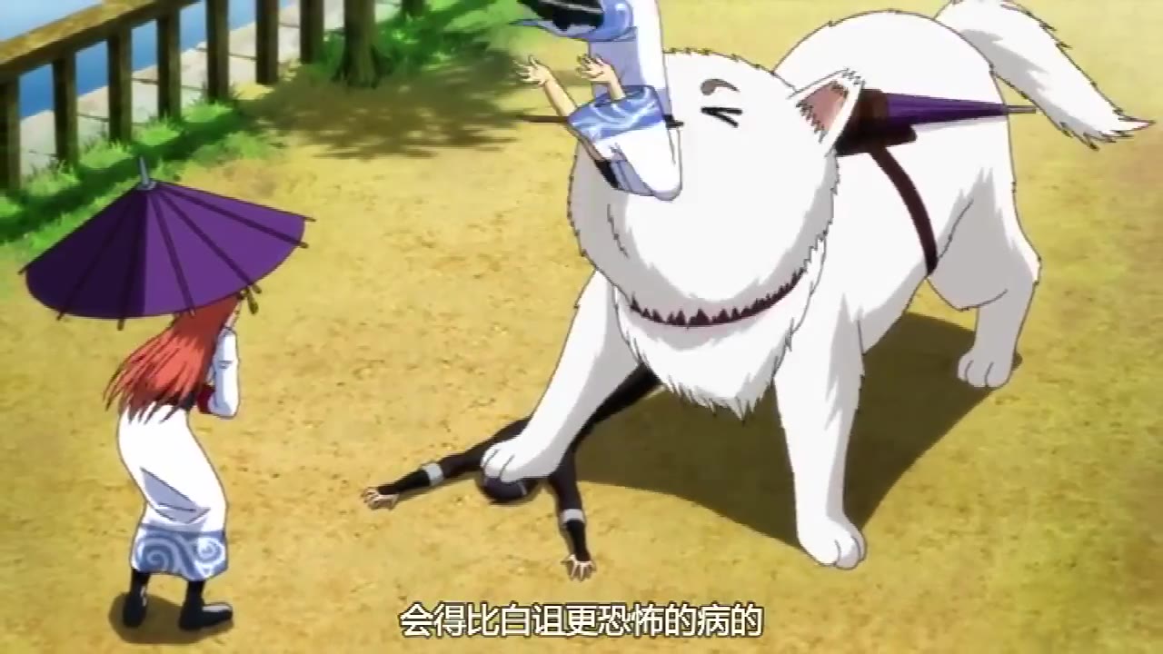 银魂剧场版完结篇永远的万事屋定春:无论你变成什么样子你的头我还是