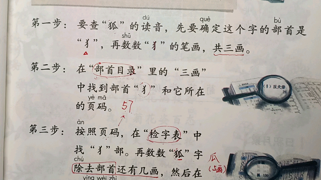 二年级语文上册:这个字怎么读?来学习部首查字法查字典吧哔哩哔哩bilibili