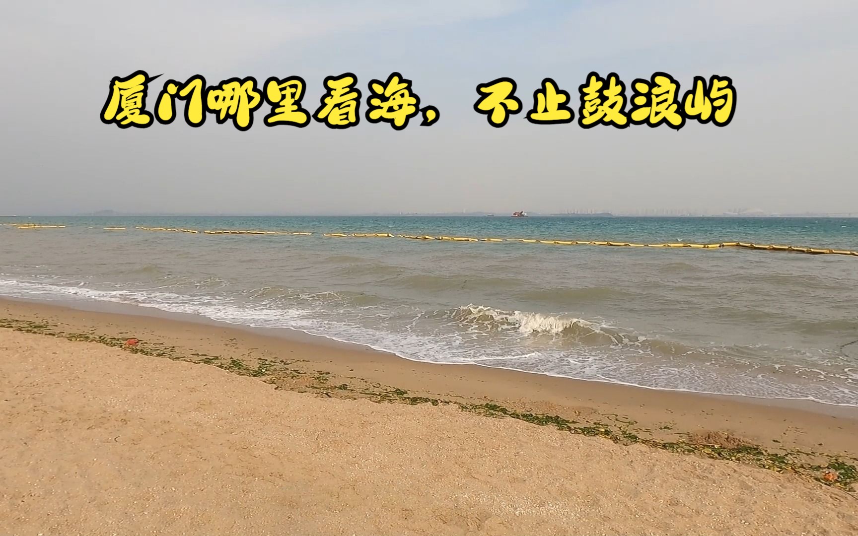 厦门哪里看海,不止去鼓浪屿,滨海大道看红树林吹海风哔哩哔哩bilibili