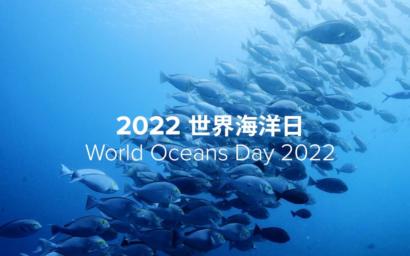 [图]2022 世界海洋日 | Suunto 带你欣赏世界各地的海洋