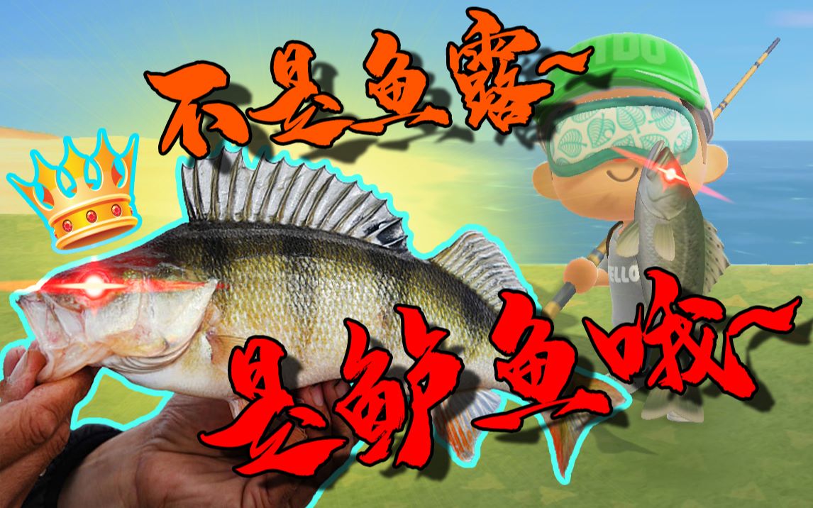 不是鱼露!是鲈鱼哦~ - 一期一个名字的皂孽#05