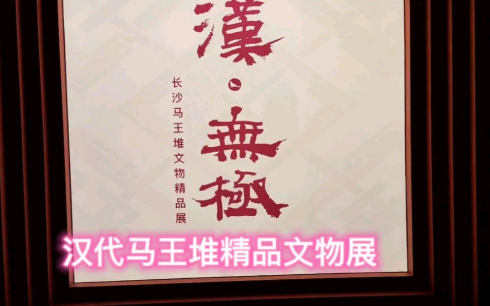 上海闵行区博物馆汉代马王堆精品文物展现场实录哔哩哔哩bilibili