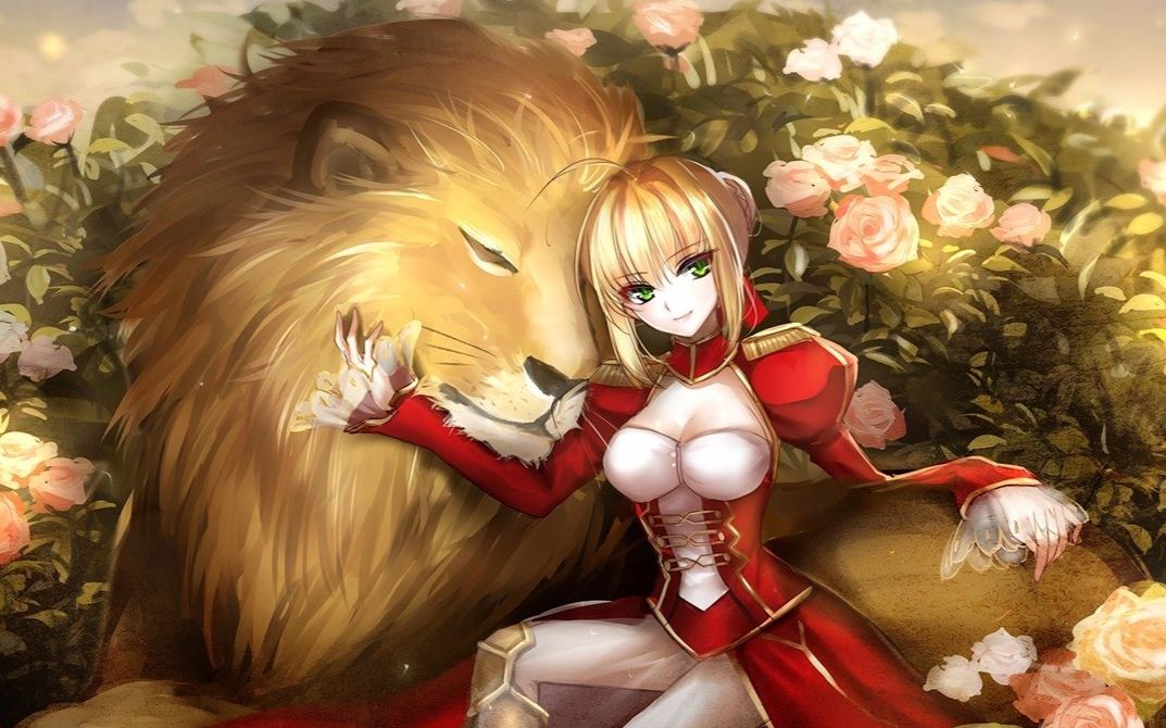 fateextraccc熟肉花嫁尼禄x扎比夫的ed结局