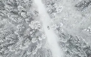 Скачать видео: 【免版权|可商用|超高清】雪景