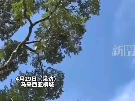 意外之财哔哩哔哩bilibili