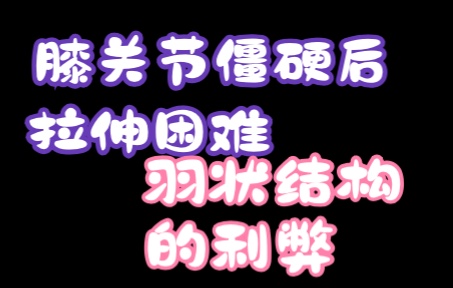 羽状结构的利弊——膝关节僵硬后股四头肌为什么难拉哔哩哔哩bilibili