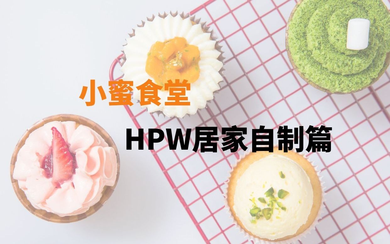 【教程】蜜袋鼯HPW主食居家自制哔哩哔哩bilibili