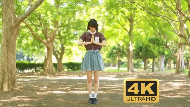 君が踊る、夏-哔哩哔哩_Bilibili
