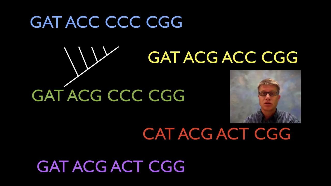 [图]Comparing DNA Sequences