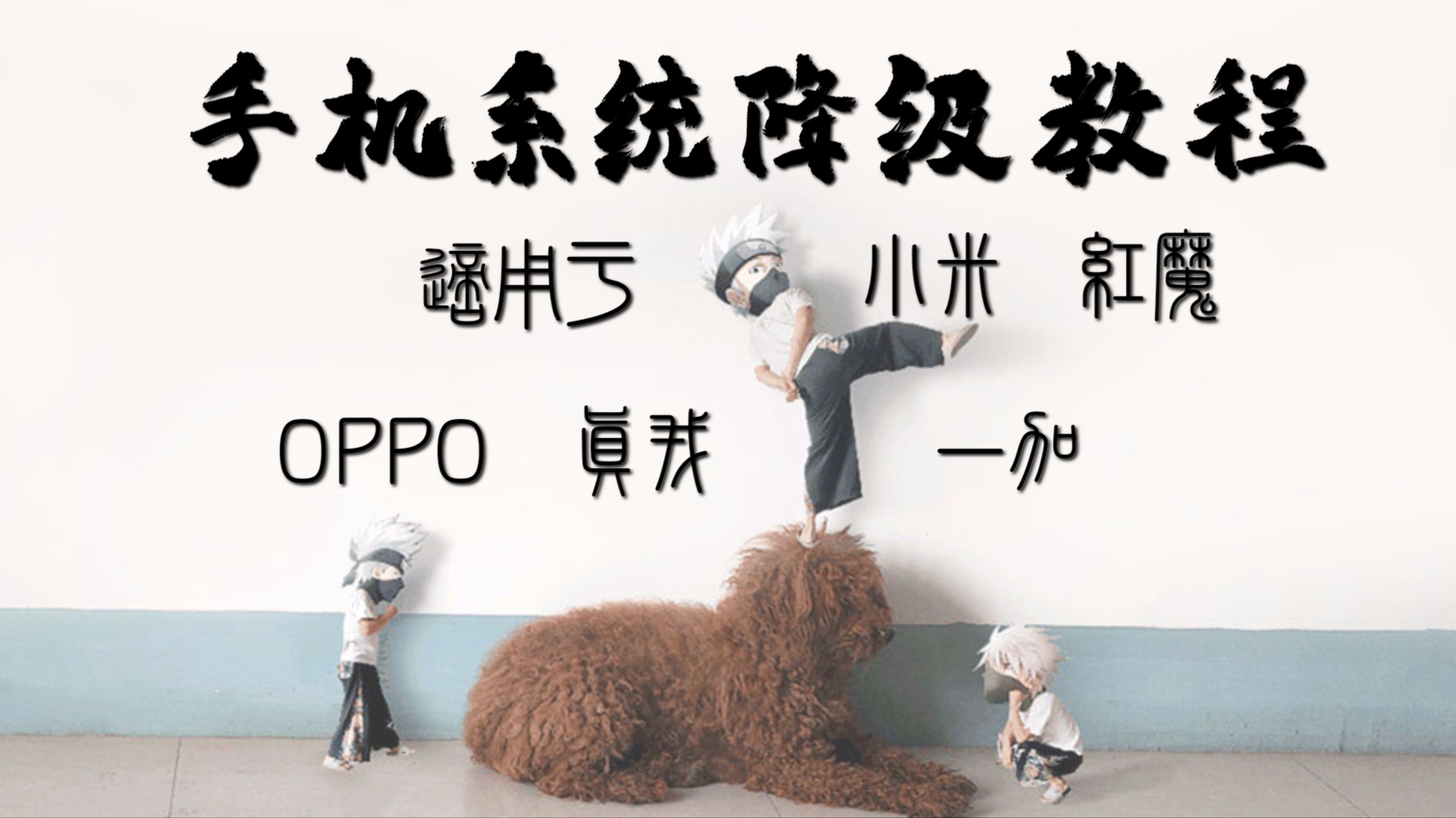 ColorOS系统降级任意版本教程!一加、Oppo、真我、红魔、小米通用降级!