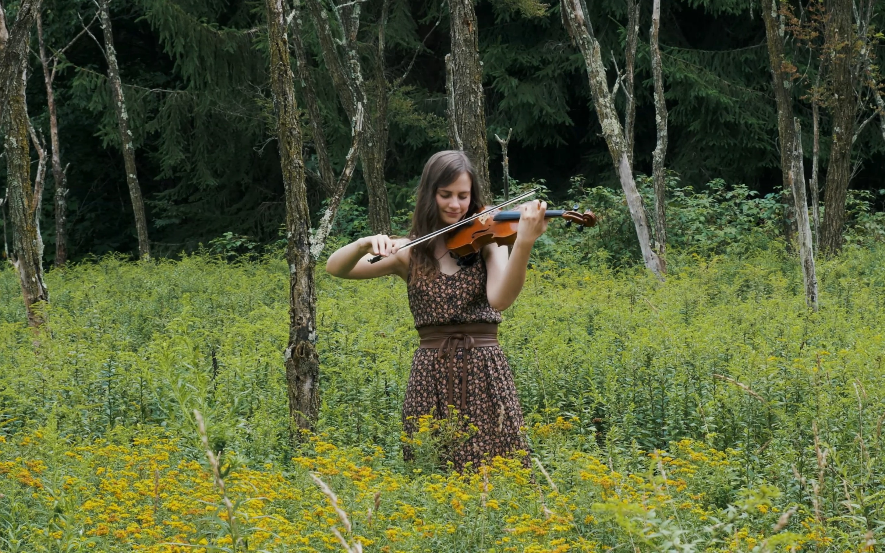 [图]4k·Taryn Harbridge & 小提琴 - I Will Wait for You (Psalm 130)｜Violin Cover