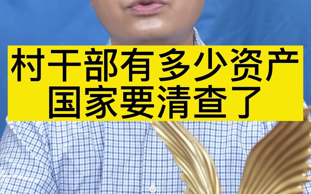 村干部有多少资产,国家要清查了哔哩哔哩bilibili