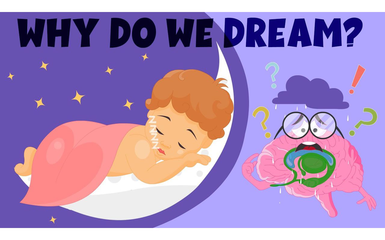 [图]Why Do We Dream？ - Sleep and Dreams： How do they work？ - Learning Junction