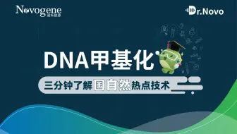DNA甲基化