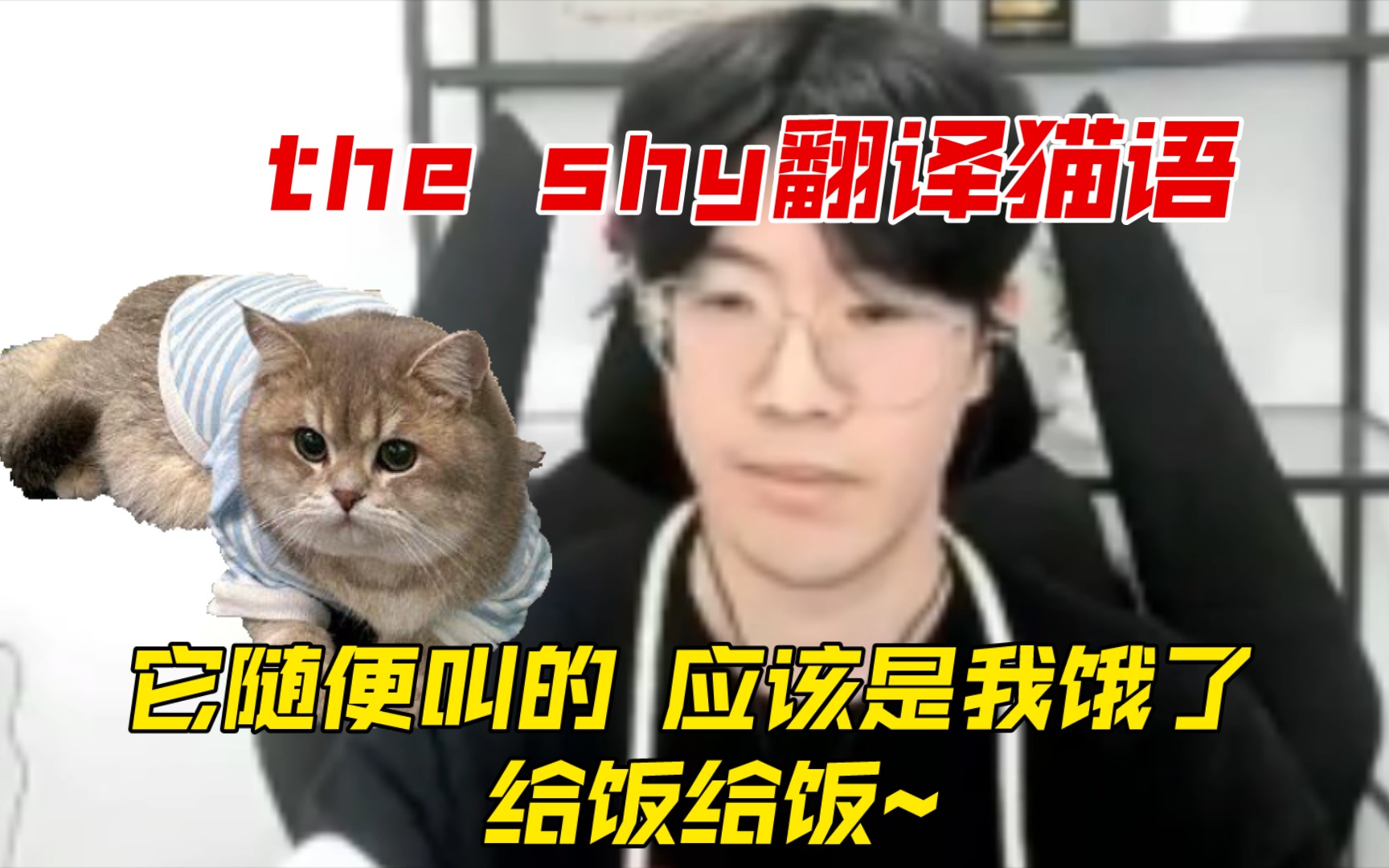 【the shy翻译猫语】它随便叫的 应该是我饿了 给饭给饭