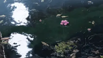 哔哩哔哩