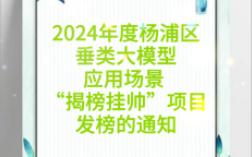 2024年度杨浦区垂类大模型应用场景 “揭榜挂帅”项目发榜的通知哔哩哔哩bilibili