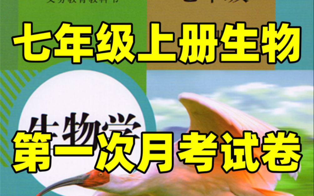 人教版七年级上册生物第一次月考试卷#初中#七年级#初中生物#知识大作战#学习#七年级上册#初一#月考试卷#第一次月考哔哩哔哩bilibili