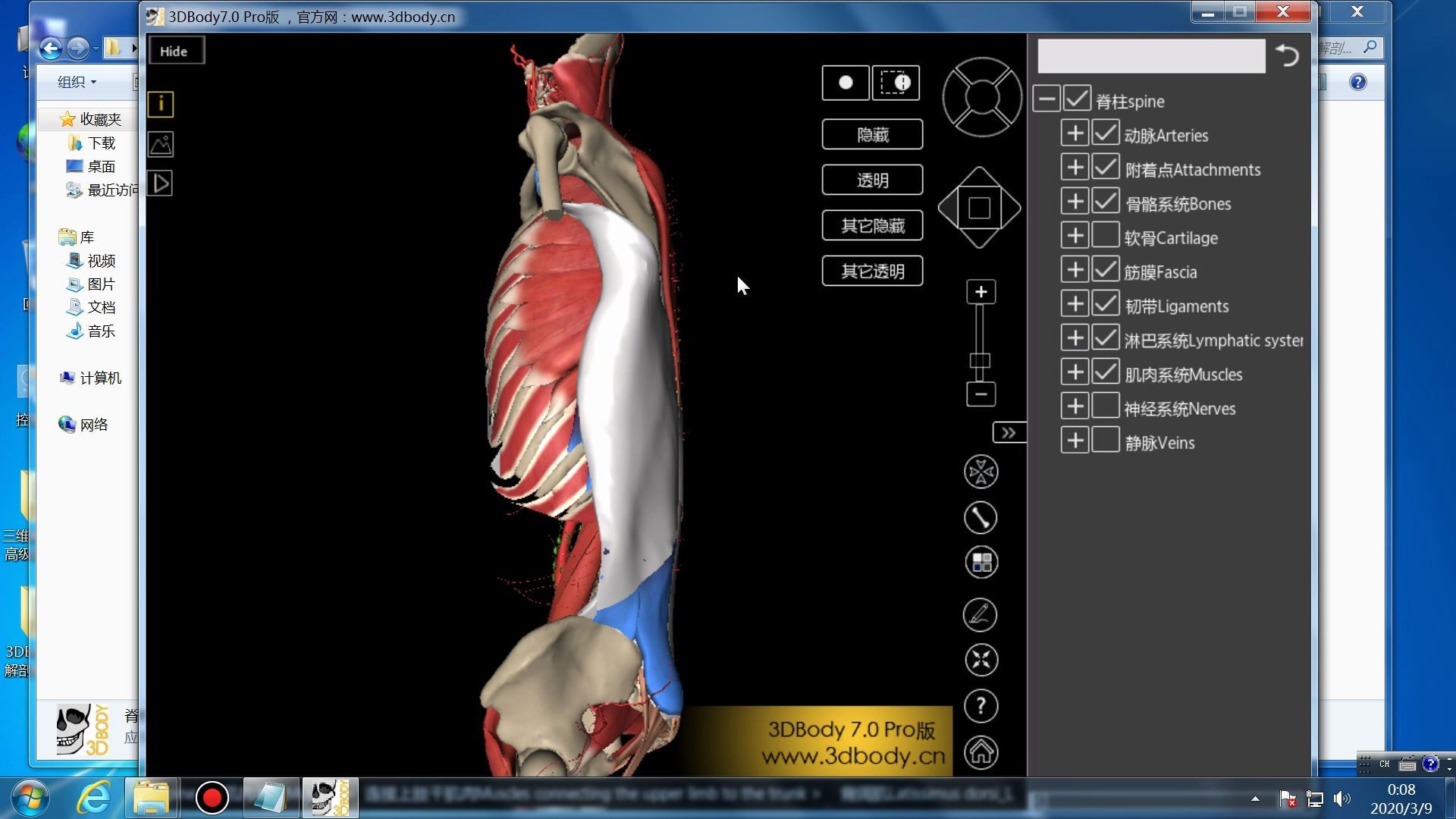 医学医疗3DBody 三维解剖教学系统平台Ver7.0 Pro哔哩哔哩bilibili