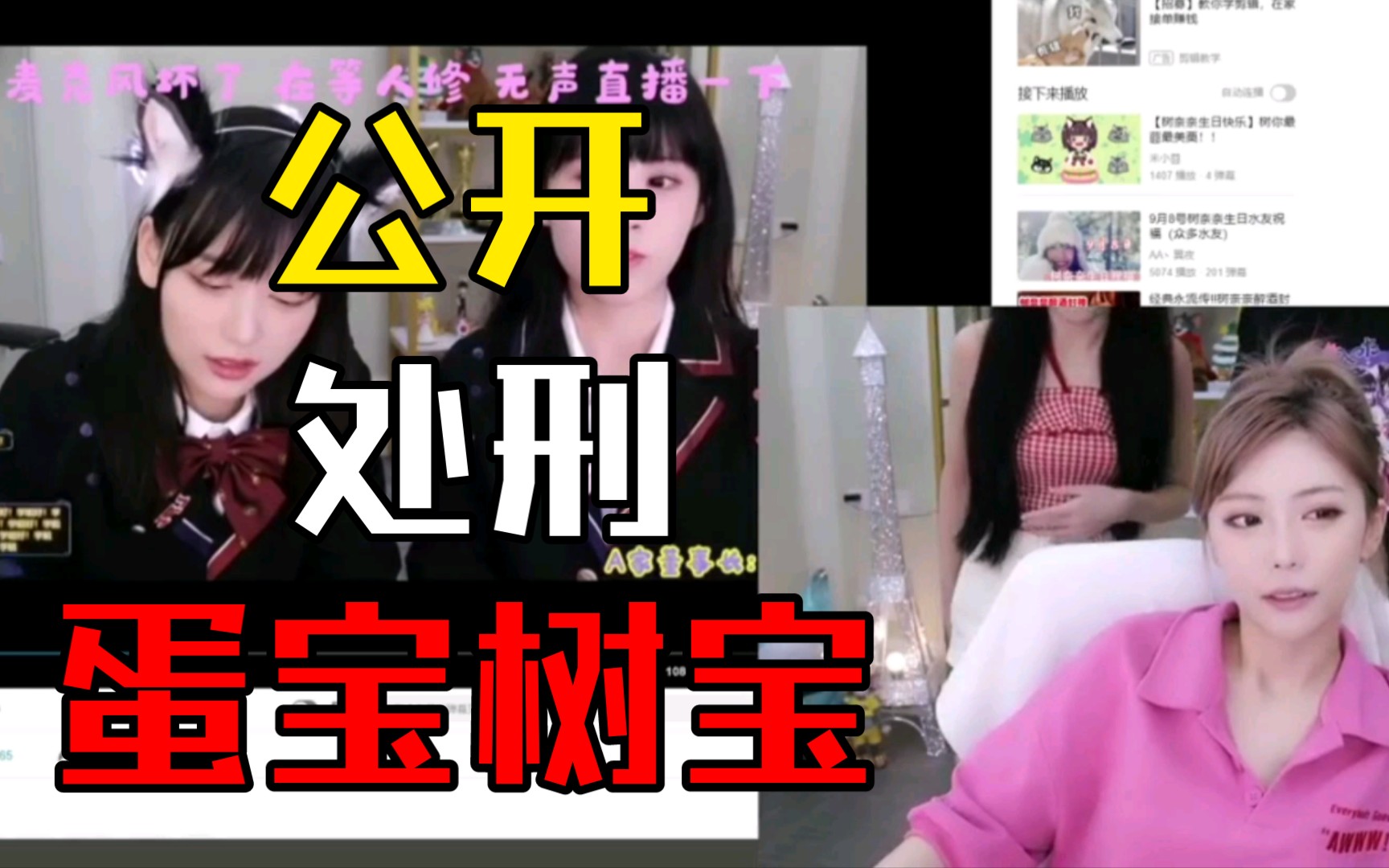 蛋宝树宝公开的处刑哔哩哔哩bilibili