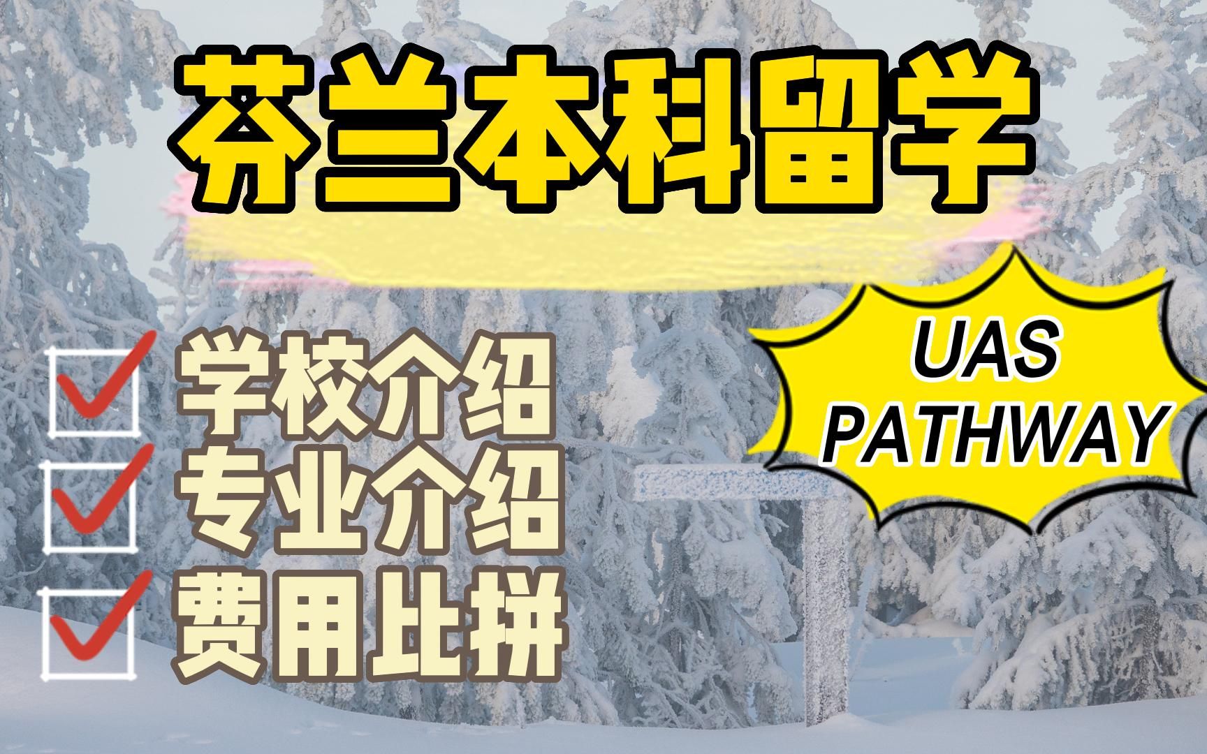 芬兰本科留学项目UAS Pathway,项目介绍(2/3),免语言|无笔试,芬兰留学必看哔哩哔哩bilibili