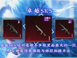 Download Video: 挑战卓越枪SKS赚百万