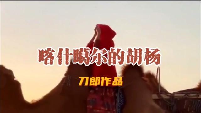 [图]《喀什噶尔胡杨》是由刀郎作词、作曲并演唱的歌曲，发行于2004年