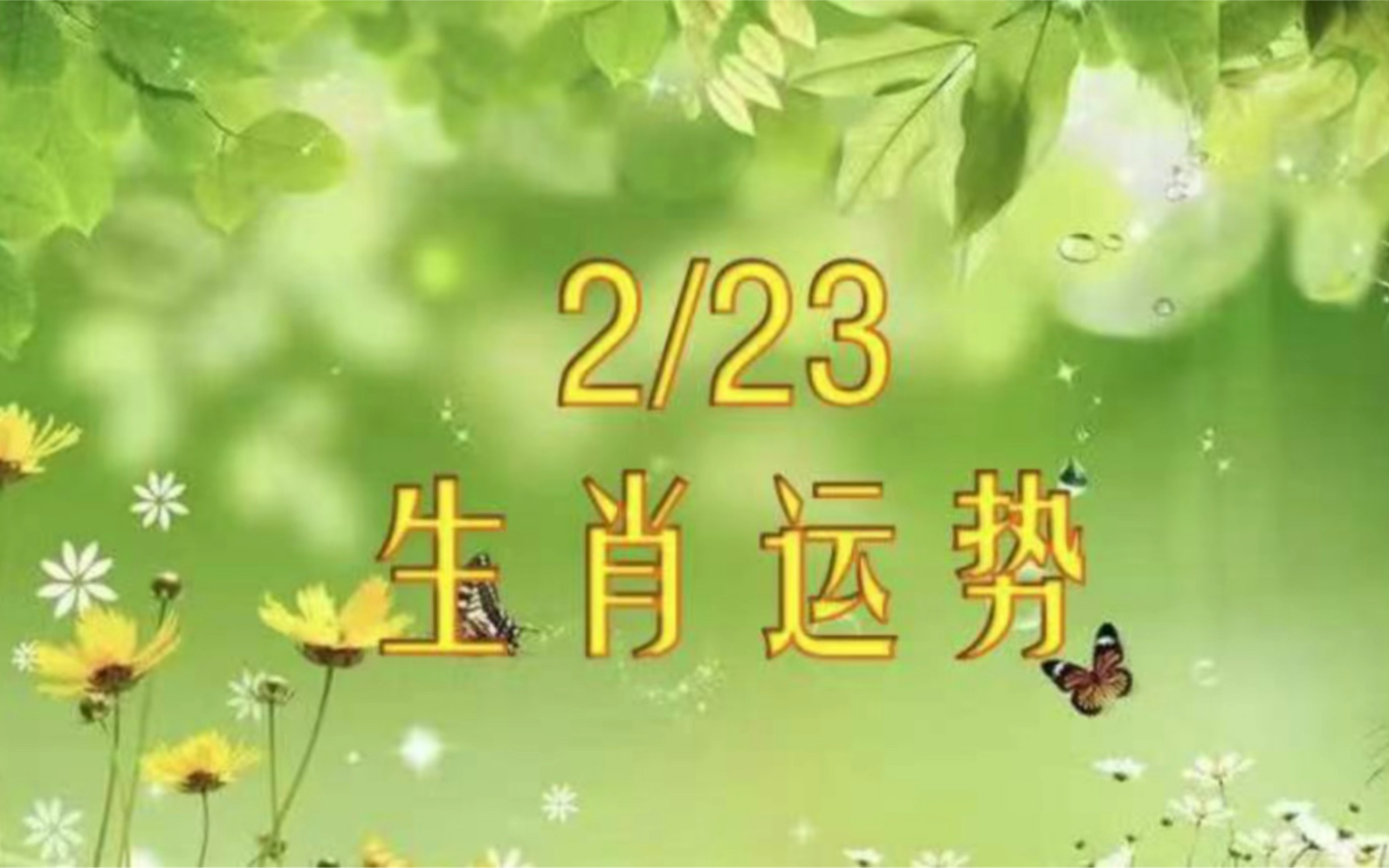 2月23日生肖运势哔哩哔哩bilibili