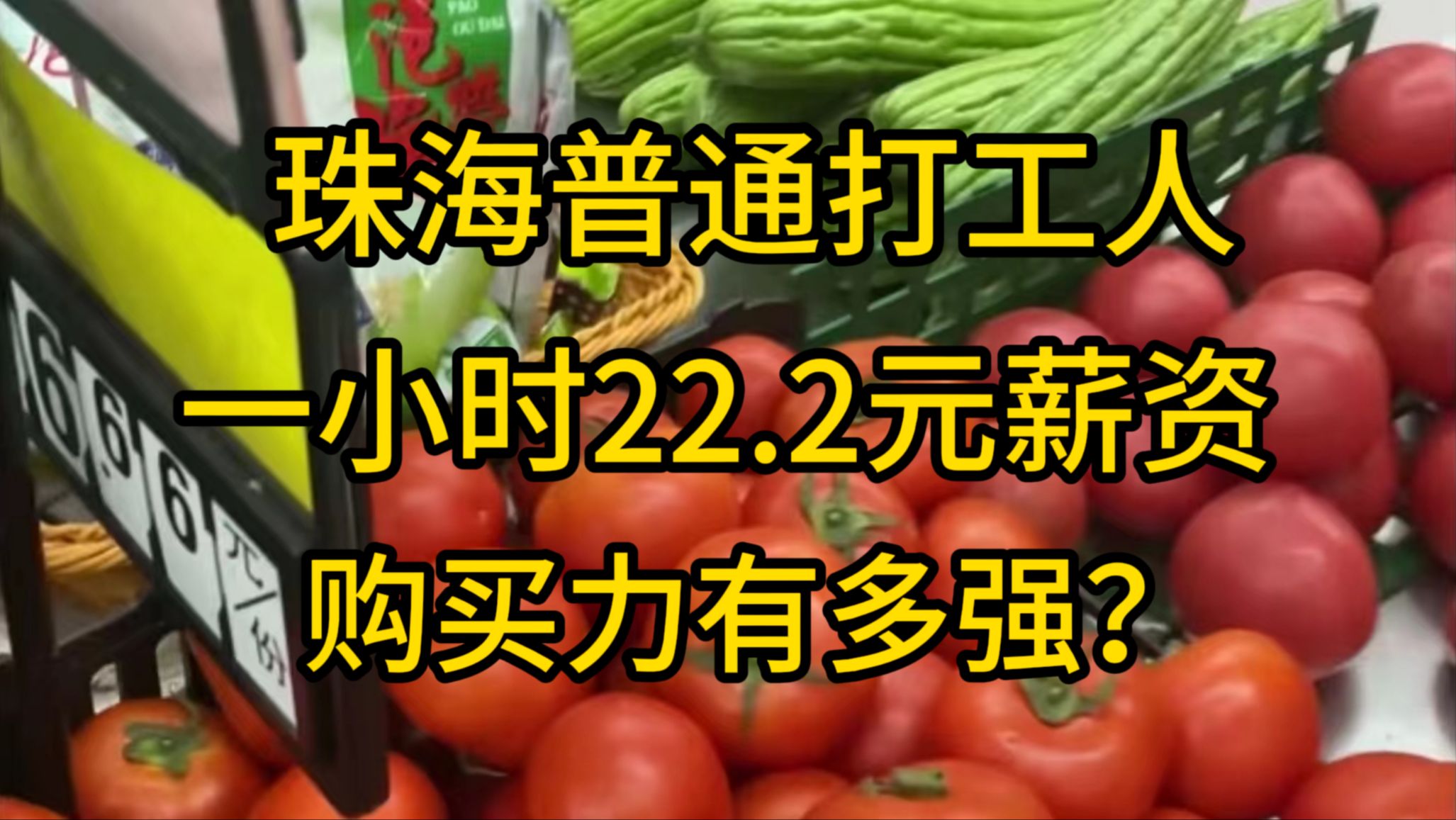 广东珠海,普通打工人1小时22.2元薪资购买力,到底有多强?——峰成户全国购买力系列视频S01E01哔哩哔哩bilibili