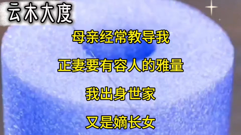 母亲经常教导我正妻要有容人的雅量我出身世家又是嫡长女哔哩哔哩bilibili