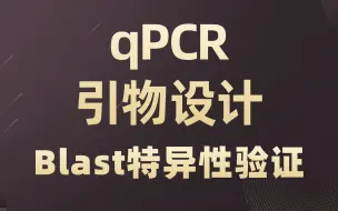 Download Video: Blast引物验证，目的基因序列的查找