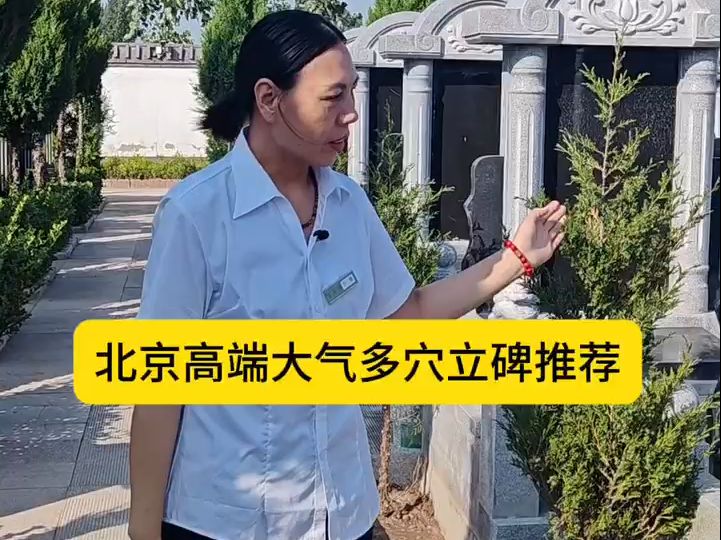 两米多高的立碑什么样呢?哔哩哔哩bilibili