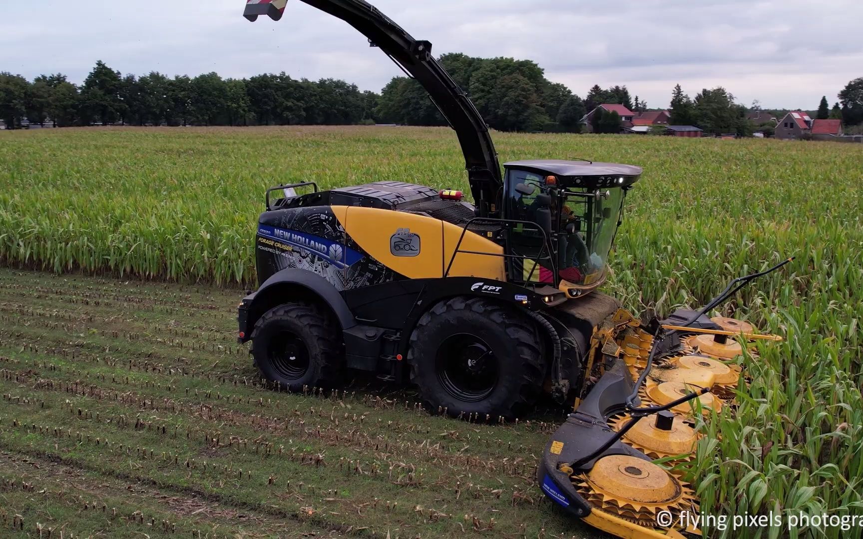 更多信息 - 纽荷兰fr 920 - 60周年纪念版 - 玉米青贮饲料