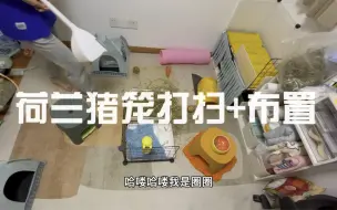 Video herunterladen: 荷兰猪笼打扫+布置