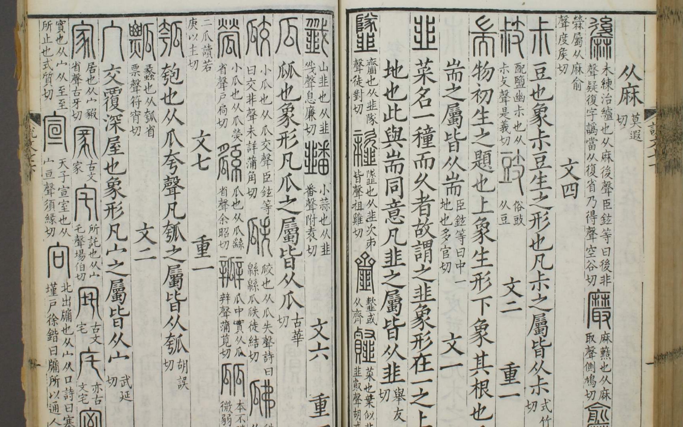 [图]解读《说文解字》部首 265——耑（zhuān）