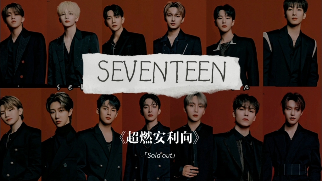 【seventeen】安利向 十三人十三色|超燃神图混剪|色气向 长版