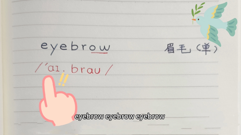 学单词eyebrow,eyebrows眉毛哔哩哔哩bilibili