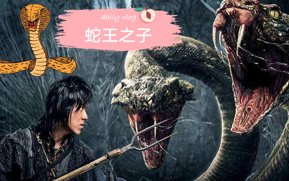 蛇王之子进入蛇王谷,大战双头蛇.