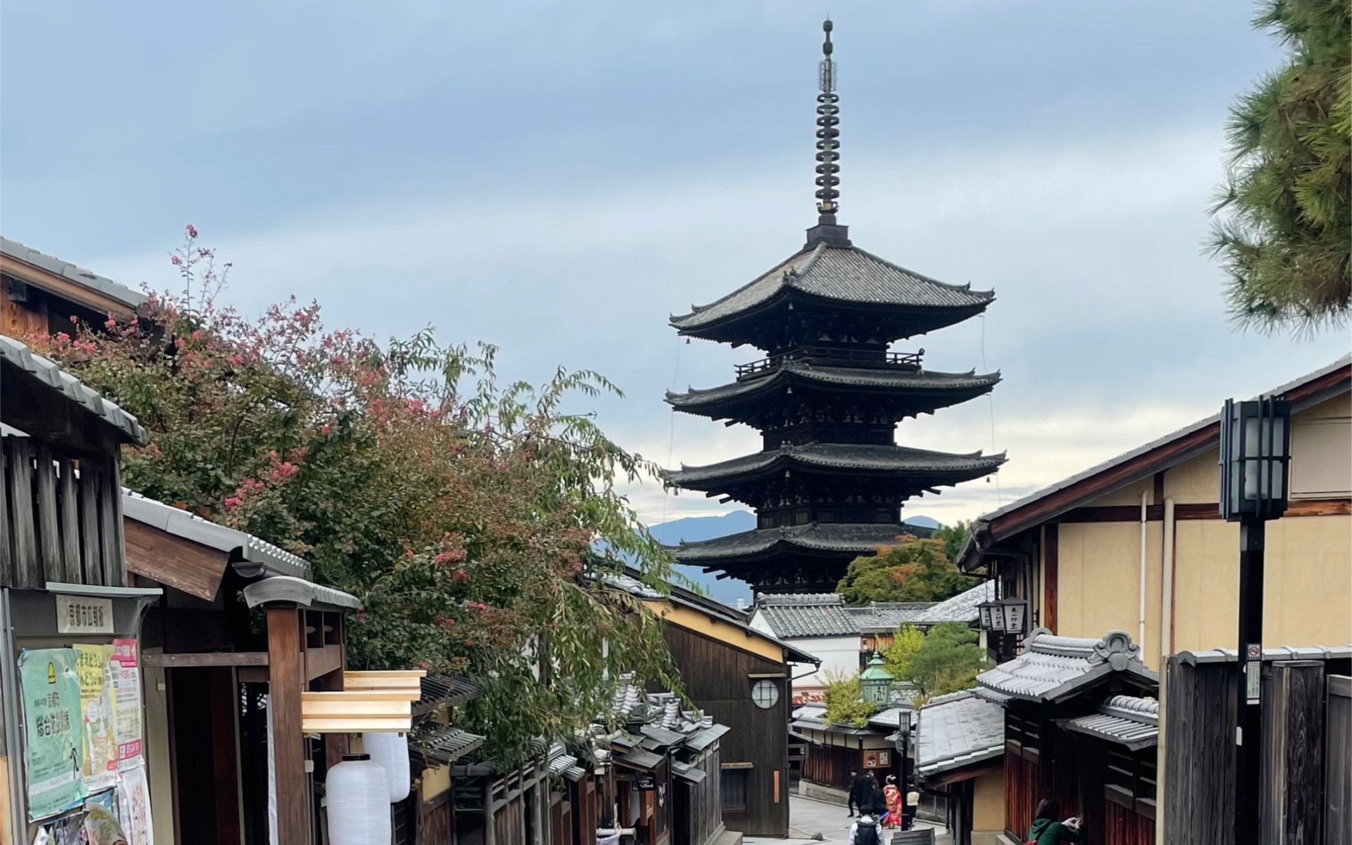 京都一日游/京都站鸭川清水寺