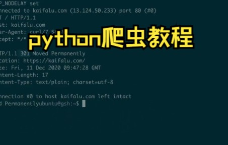 【python爬虫】curl 命令如何实现重定向哔哩哔哩bilibili