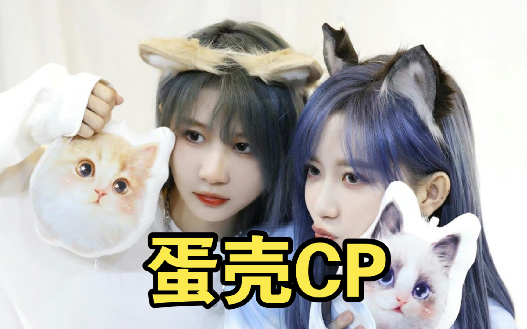 蛋壳cp【陈珂 郑丹妮】(66)